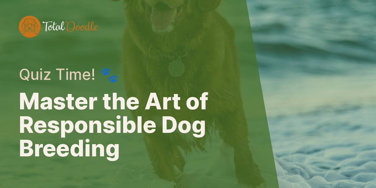 Understanding Responsible Dog Breeding Quiz | Total Doodle